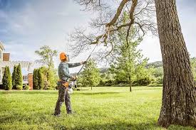 Best Hedge Trimming  in Midland, PA